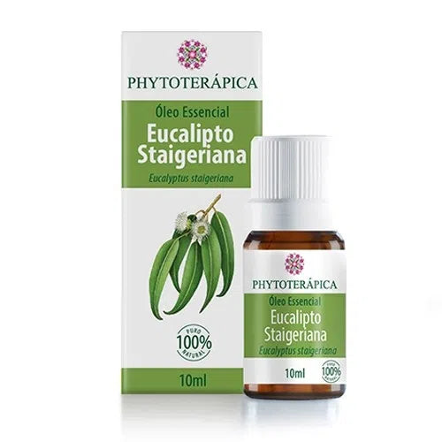 Óleo Essencial de Eucalipto Staigeriana Eucalyptus staigeriana 10 ml - Phytoterápica